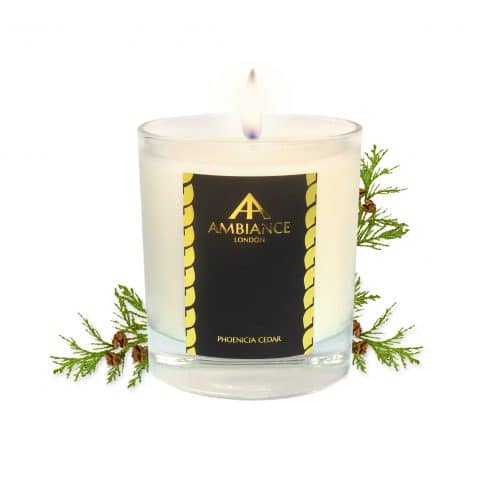 ancienne ambiance - Phoenicia Luxury Candle - Cedar Scented Candle